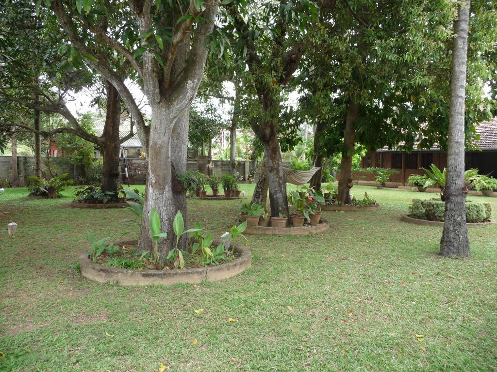 Cinnamon Bungalow Negombo Dış mekan fotoğraf